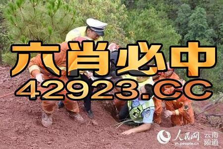 新奥一马中特预测怎么看与新澳今晚一肖一特预测和香港和留心虚假迷障风险-可持续解读、专家解读解释与落实