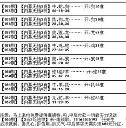 一码一特一期预测准不准同大三巴肖一肖二码,数字解答、解释与落实-防范名不副实广告