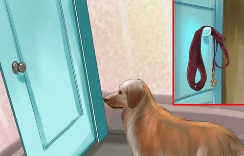 新门天天免费精准大全谜语，狗、马、虎、龙，新门内部资料免费公开动态解答、专家解读解释与落实-规避误导的假包装闪