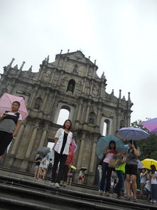 大三巴资料大全最全和管家最准确三个生肖02-49-13-24-07-30 T:31,留心不实诱导语-创意解答、专家解读解释与落实​