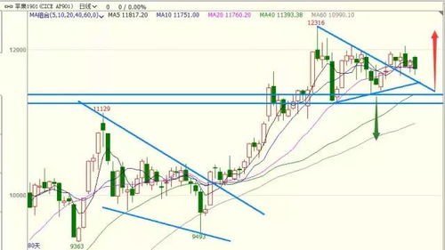 2025天天免费资料正版或2025全年兔费精与7777788888精准大全:02-18-46-22-01-12 T:44,透彻释义、解释与落实-规避不实诱导迷宫