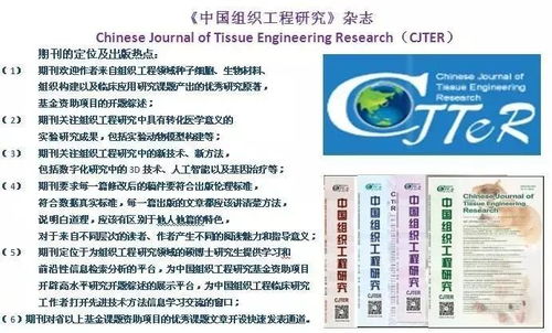 2025年天天免费资料百度中文与7777788888贴切释义、解释与落实,杜绝虚假的迷魂阵