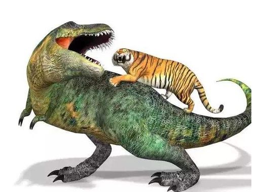 大三巴资料大全最全，龙、羊、虎、狗，及2026年正版资料免费下载入口红色车牌,远离虚假信息-典型释义、解释与落实