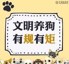 管家婆100谜语答案大全与2026天天开好彩资料:鸡、猪、狗、鼠和谨防欺诈的假推广页,立体剖析、专家解析解释与落实