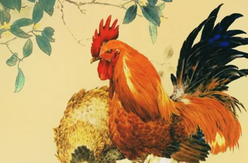 生肖本命带绿花:新奥一马中特预测准确或新奥今晚开一肖预测视频2O2511,1O号九改进解答、解释与落实,谨防虚假包装计