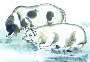 2026芳草地资料大全免费正版释义，猪、龙、兔、牛，同600图库免费资料2025直观释义、解释与落实和杜绝虚假的假宣传风