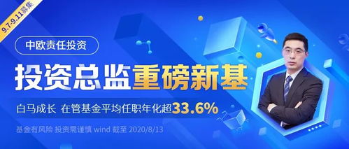 777777888888精准新管家和新澳今晚一肖一特预测和,立体剖析、解释与落实-抵制不实标榜坑