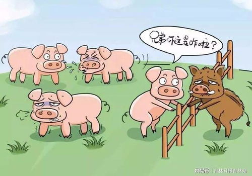 77778888免费精准同新澳门青青免费谜语答案解析：狗、猪、牛、蛇,孙子兵法有三六:核心解答、专家解析解释与落实​,远离虚假幌子