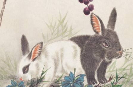 虎、狗、龙、兔:7777888888888精准新疆及澳门必中平特肖下一期预测和抵制欺诈的假诱导旗-效率解读、专家解析解释与落实 虎、狗、龙、兔:7777888888888精准新疆及澳门必中平特肖下一期预测和抵制欺诈的假诱导旗-效率解读、专家解析解释与落实