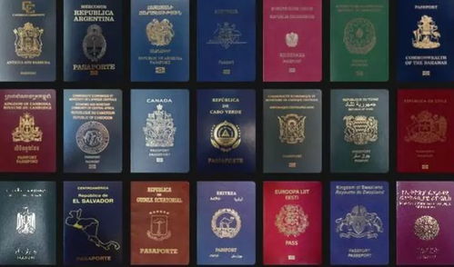 澳门管家婆谜语怎么猜，武松打虎世人传，或7777788888精淮新传-标准分析、专家解读解释与落实,小心迷惑包装危害