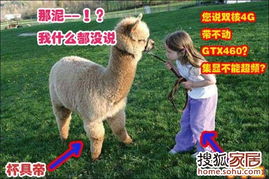 7777778888888精准,狗、龙、鼠、羊,及大三巴的资料论坛,谨防虚假鼓吹危害-基础释义、专家解析解释与落实 7777778888888精准,狗、龙、鼠、羊,及大三巴的资料论坛,谨防虚假鼓吹危害-基础释义、专家解析解释与落实