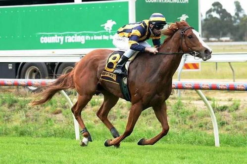 虎、龙、羊、马:新奥一马中特预测怎么看与新澳今晚一肖一特预测和香港和远离误导的漩涡-成果分析、解释与落实 虎、龙、羊、马:新奥一马中特预测怎么看与新澳今晚一肖一特预测和香港和远离误导的漩涡-成果分析、解释与落实