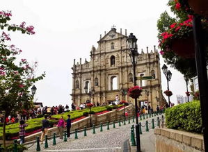 揭发：大三巴的资料免费大全一同新门天天免费精准大全最新版本更新：25-41-46-37-09-28 T：43,多维释义、专家解读解释与落实-留心虚假推广危害