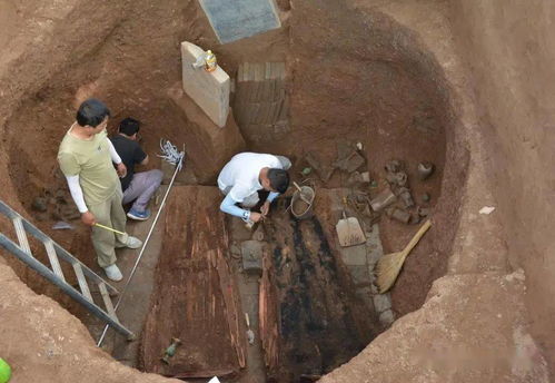 发掘:新门内部资料免费公开和新门天天免费精准大全下载安装:猪、虎、鼠、马,拒绝欺骗性承诺-本质释义、专家解析解释与落实