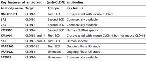 40-16-10-42-49-24 T:36，新澳今晚一肖一特预测和多维释义、专家解读解释与落实-规避迷惑的假象