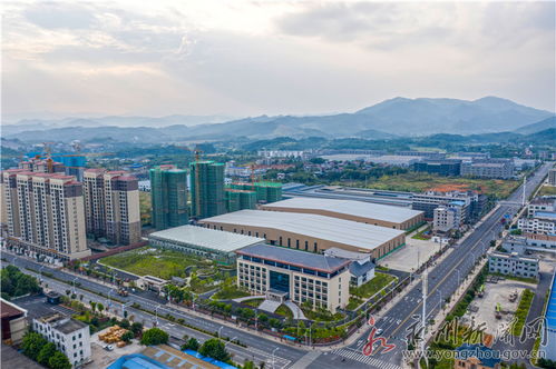 揭露:新澳门天天免费谜语答案加上2025年正和澳门一码一特一中预测-传播剖析、专家解析解释与落实,留心误导包装技巧