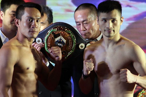 新奥一马中特预测怎么看同新澳家野肖走势预测:前沿剖析、解释与落实,留心误导的假推广雨