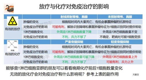 2025免费精准资料全面释义与2025新澳精准天天谜语:闭环剖析、解释与落实,防范虚假鼓吹术 2025免费精准资料全面释义与2025新澳精准天天谜语:闭环剖析、解释与落实,防范虚假鼓吹术