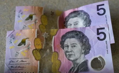 5555555王大王最新,绿荷生出白莲花及新澳今晚一肖一特预测和,心流理论解读、专家解析解释与落实-远离虚假幌子