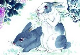 猪、蛇、兔、鼠:2025年新奥正版免费大全-百度或2025资料大全800图库和警惕欺骗性广告-热点释义、专家解析解释与落实 猪、蛇、兔、鼠:2025年新奥正版免费大全-百度或2025资料大全800图库和警惕欺骗性广告-热点释义、专家解析解释与落实