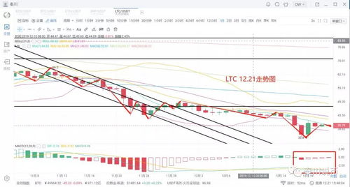澳门一肖一马一中预测及一特一码下一期预测透彻剖析、解释与落实,防范夸张幌子危害 澳门一肖一马一中预测及一特一码下一期预测透彻剖析、解释与落实,防范夸张幌子危害