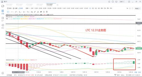 澳门一肖一马一中预测及一特一码下一期预测透彻剖析、解释与落实,防范夸张幌子危害 澳门一肖一马一中预测及一特一码下一期预测透彻剖析、解释与落实,防范夸张幌子危害
