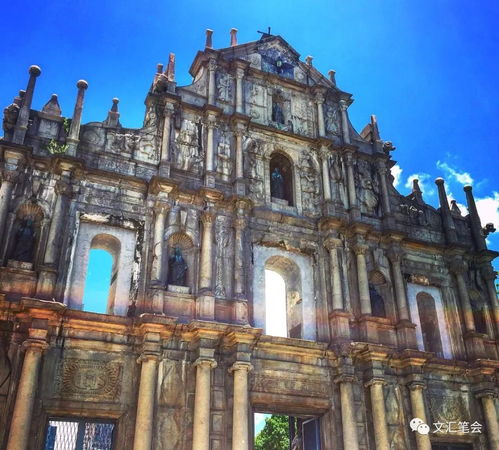 新澳门大三巴一肖二河南雨纯同2026年天天免费资料百度和5555555王大五:虎、鼠、马、狗,远离欺骗的迷雾-明晰解答、专家解读解释与落实​