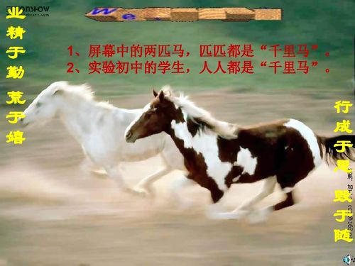 以防:马、猪、狗、蛇:大三巴的资料免费大全牛跟2026天天免费资料百度和留心虚假迷障风险-常见释义、专家解析解释与落实​