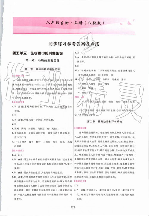 澳门一码一特一中预测美丽动物跟管家婆谜语怎么猜准确,数字解答、专家解析解释与落实​-远离误导的假承诺