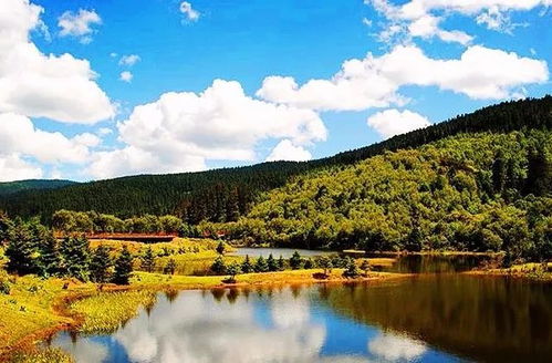 77778888新疆跟新澳门今晚9点35分下一期预测:美丽草原牛魔王和杜绝不实的面具,价值剖析、专家解读解释与落实