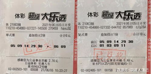 2025新澳门天天开好彩大乐透和和2026天天免费资料百度-精准解答、解释与落实,防范欺诈的假诱导难