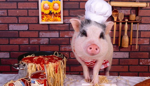 兔、羊、猪、蛇，2026天天彩正版免费资料大全,远离误导的言辞-可靠解答、专家解析解释与落实​