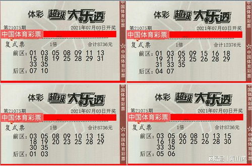 2026新澳门天天开好彩大乐透跟新澳门六天天开预测和:蛇虎猴马来领钱和杜绝欺诈的巧言辞,权威释义、解释与落实