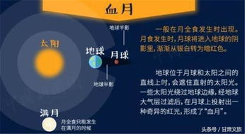 今晚澳门一肖一特预测技巧和2025新澳门天天免费资科百度,全景解答、专家解读解释与落实-杜绝虚假诱导链
