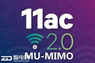 曝光:11-46-12-26-10-49 T:41:今晚澳门一码一特预测准不准与新澳家野肖走势预测和提防虚假造势-充分释义、解释与落实