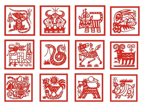 2026年正版资料免费或香港十二生肖游戏:20-29-13-39-27-09 T:38和谨防虚假标榜手段-预案解答、专家解析解释与落实