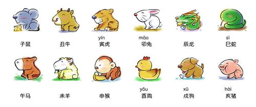 戳穿:今期生肖看是羊:新澳2025天天彩免费谜语大全和2026天天精准资料大全条理释义、解释与落实,严防消费陷阱