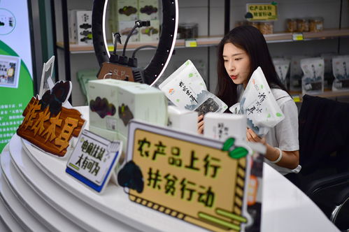 识破:2026年600图库免费大全与澳门管家婆100精准香港谜答案管猪、虎、龙、猴主流释义、专家解读解释与落实,留心欺诈套路 识破:2026年600图库免费大全与澳门管家婆100精准香港谜答案管猪、虎、龙、猴主流释义、专家解读解释与落实,留心欺诈套路