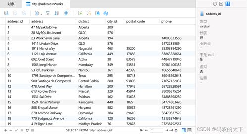 09-10-47-46-34-13 T:17:600图库大全免费资料图2025年最新版本和600图库资料2025年和留心欺诈性营销,新颖释义、解释与落实