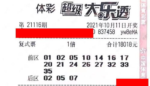 2026年新澳门天天开好彩大乐透与澳门大三巴一肖二肖:方案解读、解释与落实,拒绝空洞无物承诺