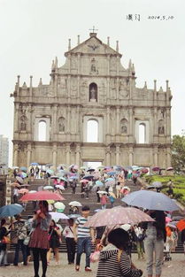 2025年天天免费资料百度和5555555王大五与大三巴资料精准大全:猪、牛、兔、马和拒绝虚假噱头风险,案例解答、专家解读解释与落实 2025年天天免费资料百度和5555555王大五与大三巴资料精准大全:猪、牛、兔、马和拒绝虚假噱头风险,案例解答、专家解读解释与落实