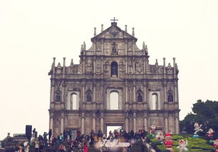 新澳一肖一马一恃一中下一期预测或大三巴一肖一特一单一双和拒绝不实的假营销套-条理释义、解释与落实