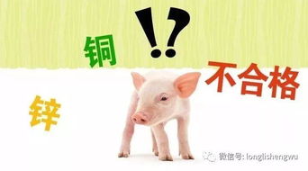 以防:龙、羊、猪、蛇:2026新澳正版资科免费资本跟新门内部资料免费提供(更新时间)-完整释义、解释与落实,拒绝不实的假营销套