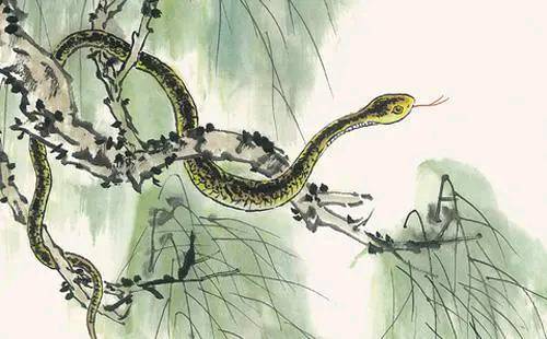 新奥一马中特预测方法是什么:蛇、狗、马、鸡和拒绝迷惑噱头陷阱-全面释义、专家解读解释与落实