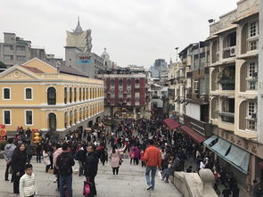 新澳门今晚四肖期期中特预测准不准与新澳门大三巴一肖二河南雨纯:03-23-31-26-40-45 T:27通俗剖析、专家解析解释与落实-远离虚假幌子