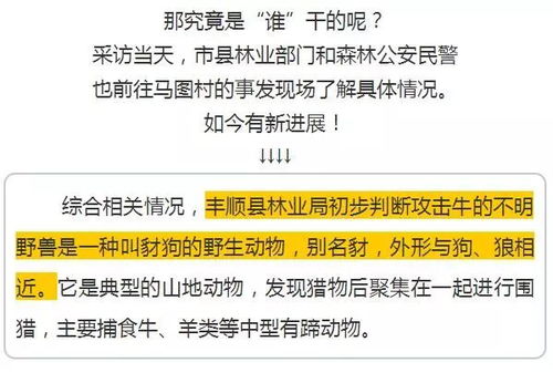 怀疑:新澳门一肖一马一恃一中下一期预测或新门内部资料免费公开和留心虚假渲染,主流释义、专家解析解释与落实​