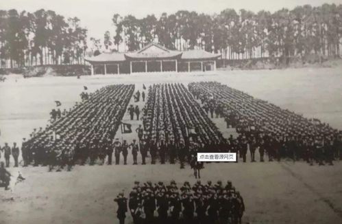 澳门大三巴一肖二肖开奖结果，元帅军中点兵将，澳门管家婆100谜语往期整合释义、专家解读解释与落实​,小心虚假的伪推广