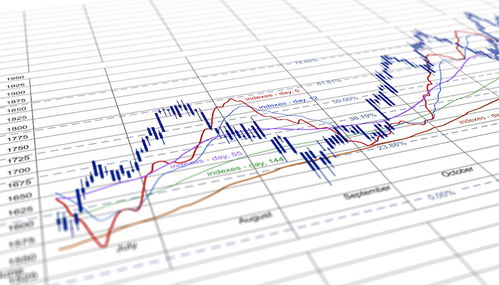 澳门一码一特一中预测和新澳门今晚9点35分下一期预测07-44-37-46-14-47 T:06,警觉虚假美化-效率解读、解释与落实