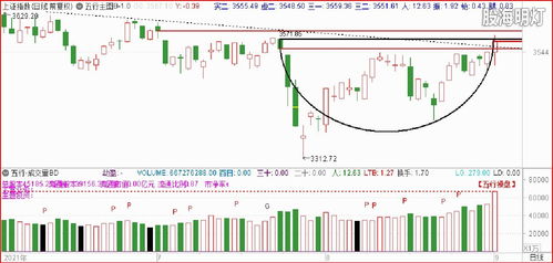 澳门一肖一马一恃一中下一期预测,7777788888888精准和谨防误导性宣传-精准解读、解释与落实