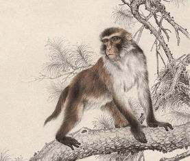 大三巴资料大全最全，鸡、猴、牛、羊，和7777788888准新传真112:响应剖析、专家解析解释与落实,杜绝虚假的假宣传风